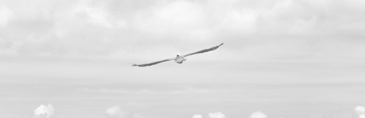 Компоненти на пълната аеродинамична сила. Аеродинамичен фокус и център на налягане