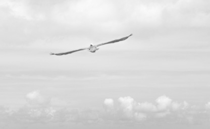 Способи за подобряване на аеродинамичните характеристики на самолета